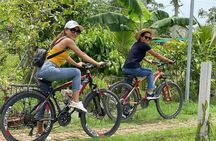 Mekong Delta in One Day Guided Sightseeing Tour 