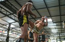 Muay Thai Experience - 1/2 Day