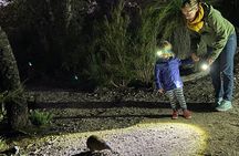Nocturnal Wildlife Tour from Busselton or Dunsborough