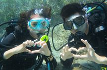 Half day boat diving experience for beginners in Kos Greece