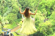 Ubud Tour with Jungle Swing and Waterfall Water Temple 