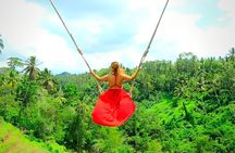 Ubud Tour with Jungle Swing and Waterfall Water Temple 