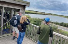 Sussex Birdwatching Private Guided Day Tour
