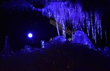 Mount Fuji Five Lakes Tour from Tokyo with Guide & Vehicle