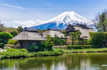 Mount Fuji Five Lakes Tour from Tokyo with Guide & Vehicle
