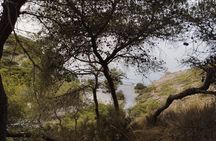 Watchtowers Hiking Route
