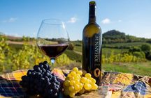 Private PICNIC in Bohemian Vineyards and Wine Tasting 4WD Tour