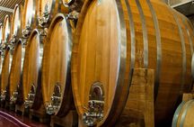 Private PICNIC in Bohemian Vineyards and Wine Tasting 4WD Tour