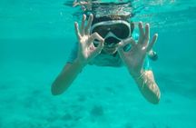 Snorkeling and Grilling Fresh Fish at Donkey Beach