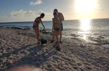 Snorkeling and Grilling Fresh Fish at Donkey Beach