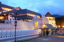 7 Days Private Tour Exploring Sri Lanka’s Cultural Triangle