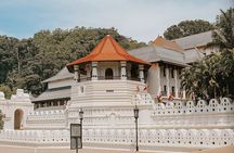 7 Days Private Tour Exploring Sri Lanka’s Cultural Triangle
