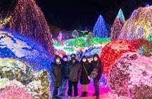 Make Your Trip Around Nami Island With an Expert(DSLR option) 