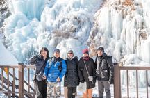 Make Your Trip Around Nami Island With an Expert(DSLR option) 