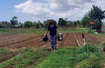 Private Countryside Tour & Pepper farm, Kep/Crab Market 