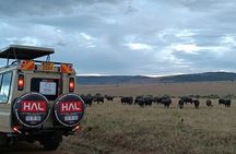 3 Days Maasai Mara Private Safari