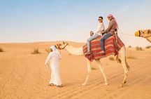 Al Awir Morning Desert Safari Dubai
