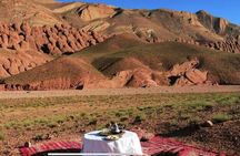 Private half-day mountain bike tour discover Palmeraie Skoura