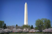 Washington Monument Admission with Morning City Narrated Bus Tour