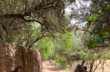 Private half-day mountain bike tour discover Palmeraie Skoura