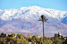Private half-day mountain bike tour discover Palmeraie Skoura