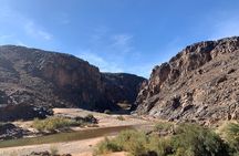 Private half-day mountain bike tour discover Palmeraie Skoura