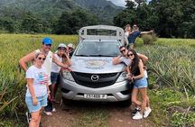 Discovering Moorea from Tahiti in 4x4 with the Ferry Terevau
