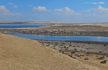 Al Fayoum Oasis Day tour From Cairo 