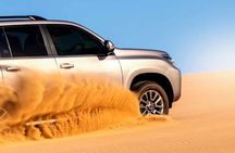  Morning Desert Safari With Camel Ride