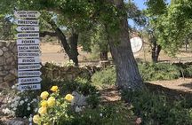  Wine Tours One