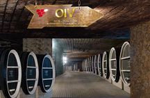 Visit the Largest Winery in the World and Manuc Bei Mansion