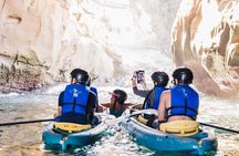 Original La Jolla Sea Cave Kayak Tour for Two