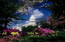 US Capitol & Library of Congress with Guided Walk of Capitol Hill