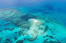 Reef and Rainforest 60 minute Scenic Flight