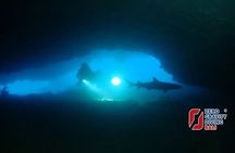 Shark Cave diving at Tangked Taked and Biaha Shark Caves
