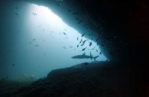 Shark Cave diving at Tangked Taked and Biaha Shark Caves