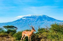 2 Days Amboseli National Park Safari Experience