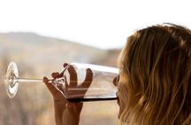 Traditional Greek COOKING class and Wine Tasting in Rhodes
