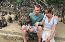 Trek Can Gio Mangrove, Monkey Island with Croc Farm & Cano Option