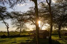From Arusha: 5 Day Cats, Calves & Crater Safari, Ngorongoro
