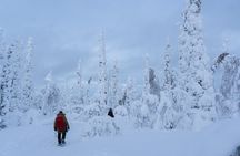 Full-Day Snowshoeing Adventure in Amethyst from Rovaniemi