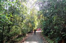Kanneliya Rain Forest Tour