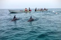 Mnemba Island Swim with Dolphins and Snorkeling (Sea food Lunch)