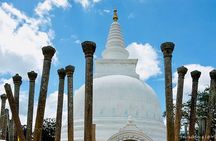 Private Day Tour Of Anuradhapura Ancient Kingdom and Avukana