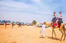  Morning Desert Safari With Camel Ride