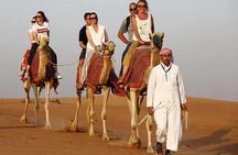  Morning Desert Safari With Camel Ride