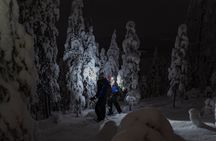 Aurora Borealis Snowshoeing Adventure by Night from Rovaniemi