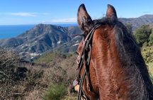 Horse ride on the coast of Monterosso al Mare Cinque Terre
