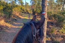 Horse ride on the coast of Monterosso al Mare Cinque Terre
