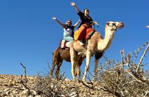 Camel ride and magical dinner in Agafay desert